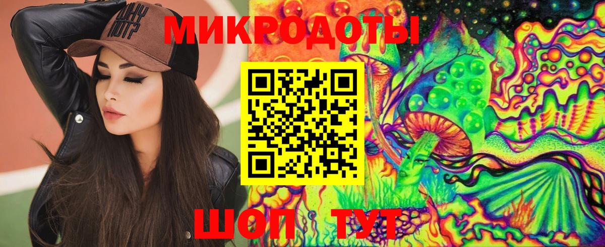 Галлюциногенные грибы Psilocybe Черняховск